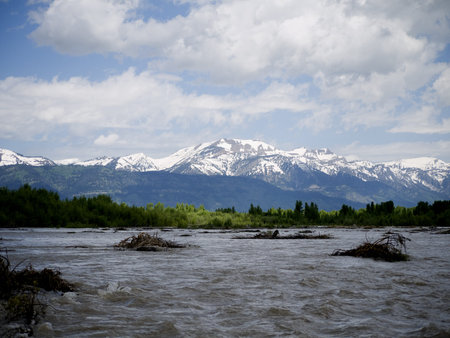 Snake River Rafting in Grand Tetons National Park