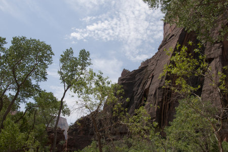 Designated in 1919, Zion National Park is Utahのeditorial素材