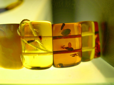 Pieces of amber with trapped insects on display in Salzburg Austriaのeditorial素材