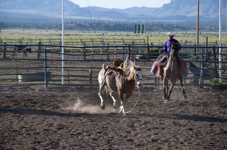 Rodeo at Bryce Canyon Utah USAのeditorial素材
