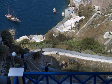 Donkeys are used to bring tourist up from the Sea to Fira on the island of Santorini Greeceのeditorial素材