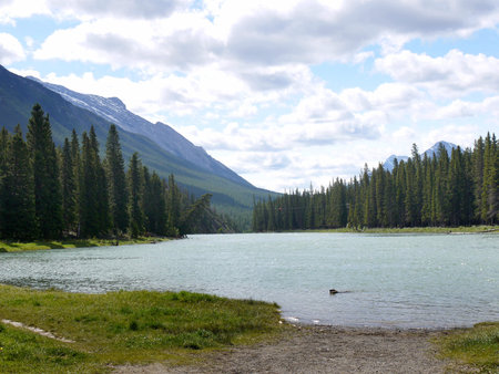 Banff National Park is a vast untamed territory. Wild animals roam the valleys, eagles soar over the Canadian Rocky Mountains, and pure water streams into rivers from 1,000 glaciersのeditorial素材