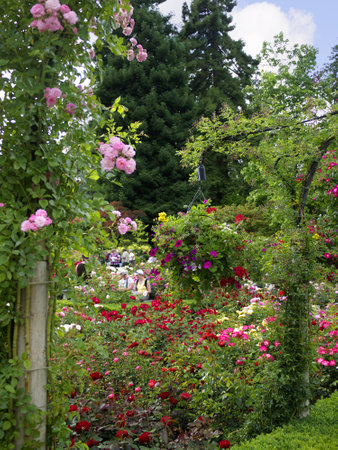 Floral display in Butchart Gardens near Victoria on Vancouver Island in British Columbia in Canadaのeditorial素材