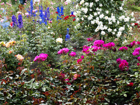 Floral display in Butchart Gardens near Victoria on Vancouver Island in British Columbia in Canadaのeditorial素材