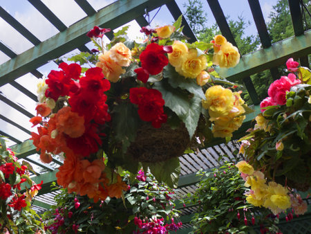 Floral display in Butchart Gardens near Victoria on Vancouver Island in British Columbia in Canadaのeditorial素材