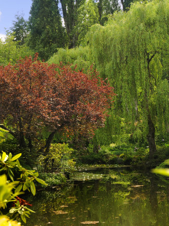 Floral display in Butchart Gardens near Victoria on Vancouver Island in British Columbia in Canadaのeditorial素材