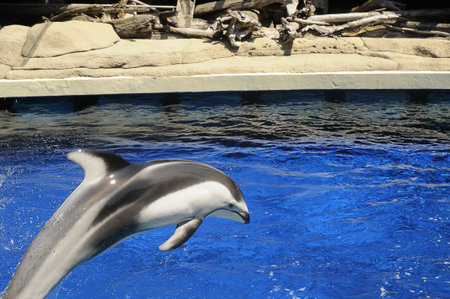 The Vancouver Aquarium in Stanley Park, Vancouver Canada