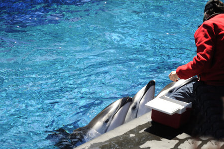 The Vancouver Aquarium in Stanley Park, Vancouver Canadaのeditorial素材