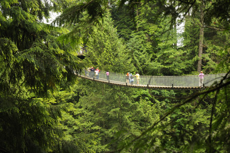 The Capilano Suspension Bridge is a simple suspension bridge crossing the Capilano River in the District of North Vancouver, British Columbia, Canada. のeditorial素材