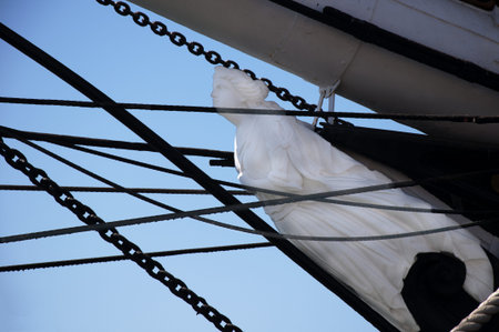 Tall Sailing Ships in Harbour of San Diego California USAのeditorial素材