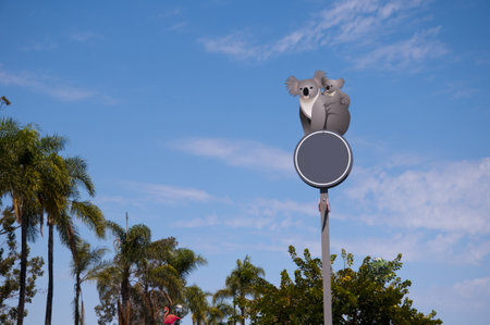 Koala Bear car park animal recognition signs in Balboa Park San Diego California USAのeditorial素材