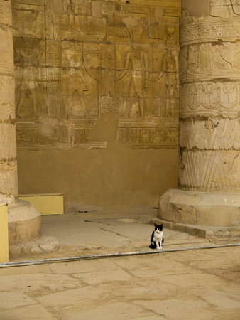 the Temple at Edfu in Egypt which is dedicated to the God Horus