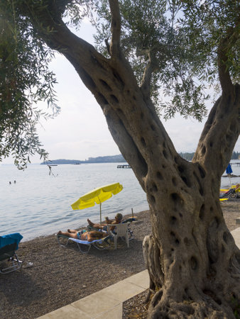 Beach at Dassia on the Island of Corfu Greeceのeditorial素材