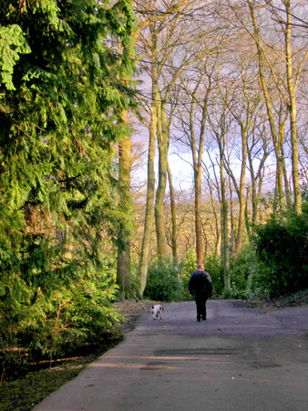 Walking in Towneley Park in Burnley Lancashire        のeditorial素材