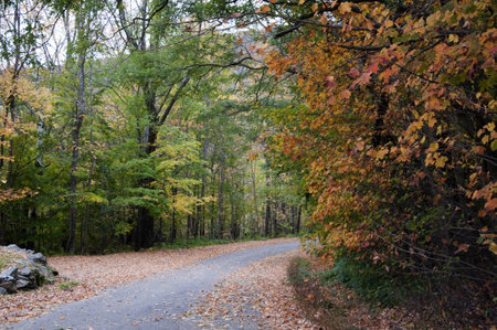 Fall in the White Mountains in the State of New Hampshire USAのeditorial素材