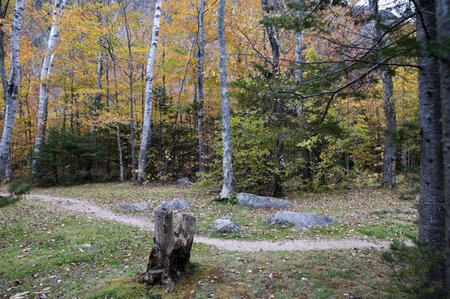 Fall in the White Mountains in the State of New Hampshire USAのeditorial素材