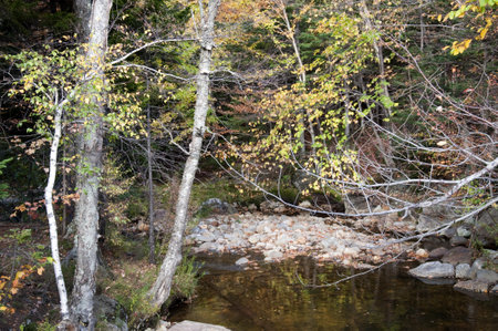 Fall in the White Mountains in the State of New Hampshire USAのeditorial素材
