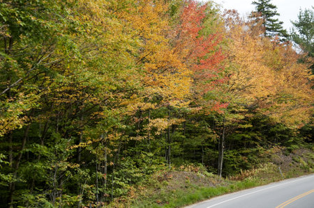 Fall in the White Mountains in the State of New Hampshire USAのeditorial素材