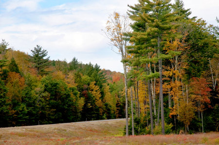 White Mountains in the State of New Hampshire USAのeditorial素材