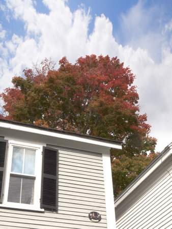 Fall in the White Mountains in the State of New Hampshire USAのeditorial素材