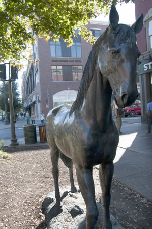 Saratoga Springs is a city in Saratoga County, New York, United States. The name reflects the presence of mineral springs in the area. のeditorial素材