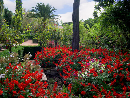 Gardens of the Generalife, the summer palace in the Alhambra Spainのeditorial素材