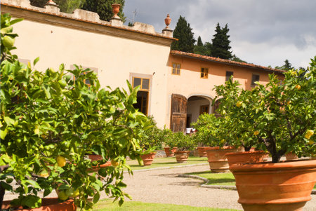 The beautiful gardens of the Villa Gamberaia overlooking Florence at Settignano near Florence. This small garden open to the public has many of the typical features of Italian Gardens.のeditorial素材