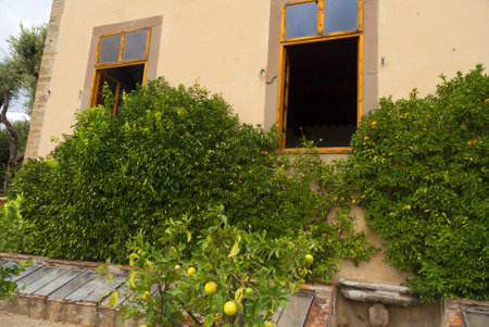The Lemonaria of the Villa Gamberaia overlooking Florence at Settignano near Florence. This small garden open to the public has many of the typical features of Italian Gardens.のeditorial素材