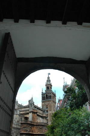 Giralda Tower and Cathedral in Seville in Andalucia Spain  のeditorial素材