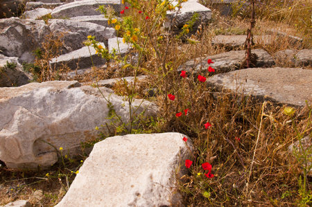 The Temple Island of Delos in the Cyclades Islands Greeceのeditorial素材