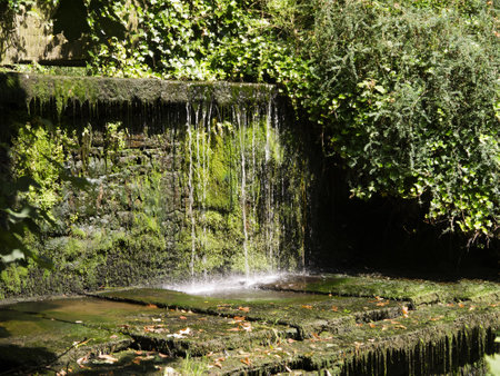 River in Skipton North Yorkshire Englandのeditorial素材