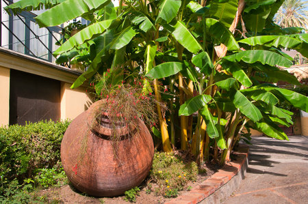 Garden in the city of Sorrento in Campania Italyの写真素材