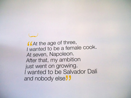 The Art of Salvador Dali in Italian Exhibition