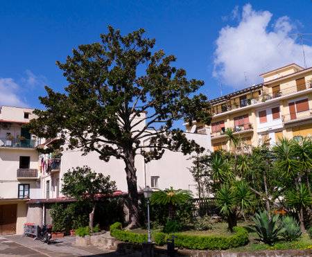 Garden in the city of Sorrento in Campania Italyのeditorial素材