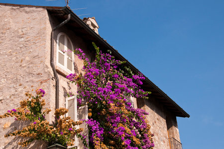 Flower covered House in Sirmione on Lake Garda Italyのeditorial素材