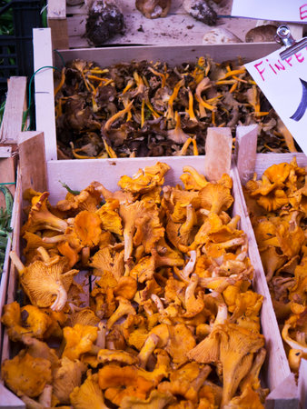 mushrooms on the market at Malcesineのeditorial素材