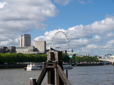 The London Eye wheel by the River Thames in London Englandのeditorial素材