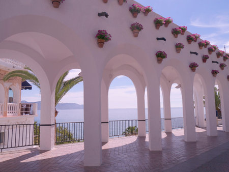 Flowers on the Balcon de Europa in Nerja on the Costa del Sol Spain