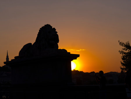 Lion on the Chain Bridge in Budapest Hungaryのeditorial素材