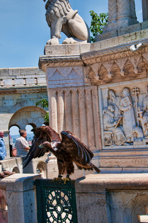 Eagle on the Fishermens Bastion in Budapest Hungaryのeditorial素材