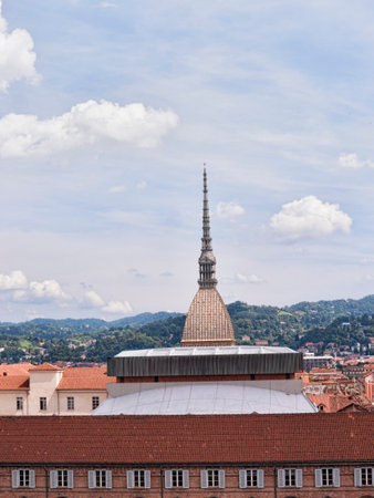View from the Palazzo Madama in Turin Italyのeditorial素材
