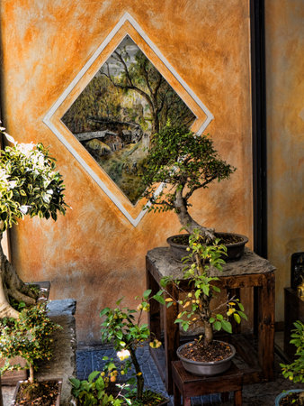 Bonzai Tree Shop in Turin Italyのeditorial素材