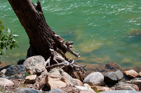 The Animas River from the Durango to Silverton Railway in Colorado USAの写真素材