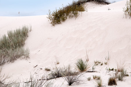 The Dunes of the White Sands National Monument in New Mexico USAの写真素材