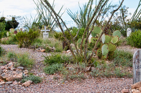 Boot Hill cemetery in Tombstone Arizona USAのeditorial素材