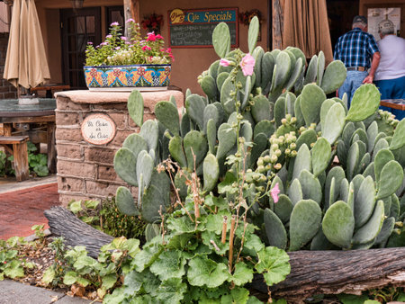 Old Town of Albuquerque with its many galleries in New Mexico USAのeditorial素材