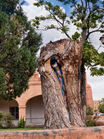 Tree with Madonna inside in the grounds of the Church of San Felipe de Neriのeditorial素材