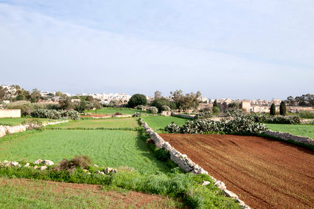 Fertile Farmland on the island of Maltaの写真素材