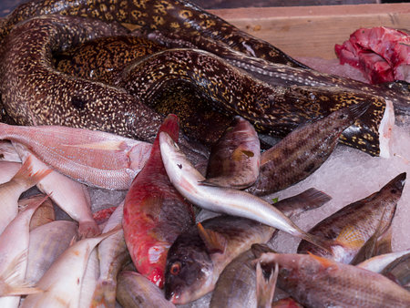fish on market at Marsaxlokk on the island of Maltaのeditorial素材