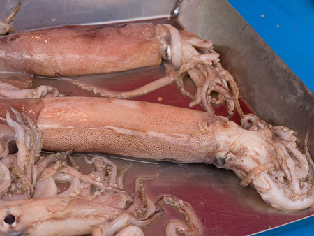 Squid on Market at Marsaxlokk Harbour on the island of Malta